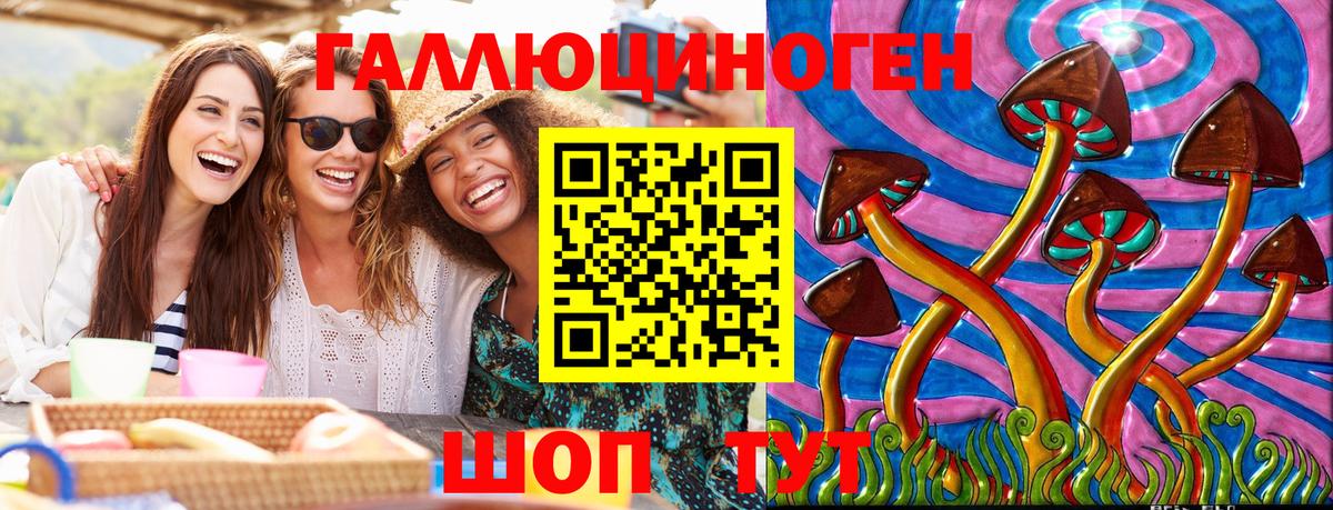 Галлюциногенные грибы Psilocybe Егорьевск