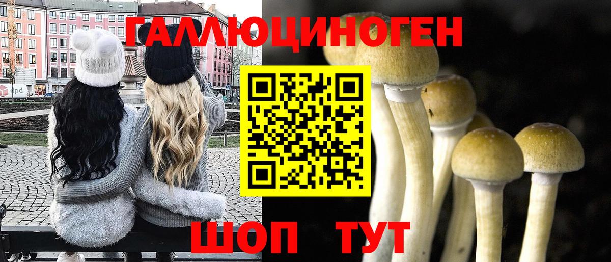 Галлюциногенные грибы GOLDEN TEACHER  где купить наркоту  Егорьевск  Вход с VPN 